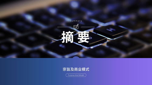 網(wǎng)絡(luò)科技公司商業(yè)計(jì)劃書