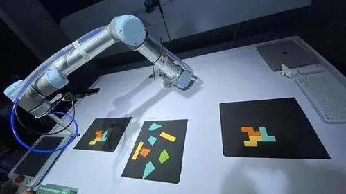 專家支招，黑科技亮相 這場(chǎng)展會(huì)連接武漢未來(lái)生活場(chǎng)景